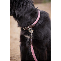 Collier pour chien Penelope Billie Rose / lurex