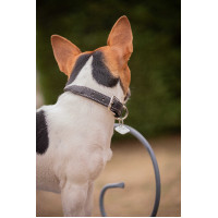 Collier pour chien Pénélope Olie Noir Collier pour chien Pénélope Olie Noir