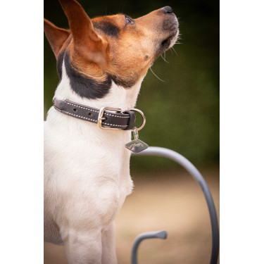 Collier pour chien Pénélope Olie Noir Collier pour chien Pénélope Olie Noir