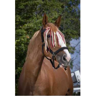 Frontal chasse-mouches Norton Rouge / écru