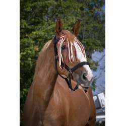 Frontale vliegenbeschermer Norton