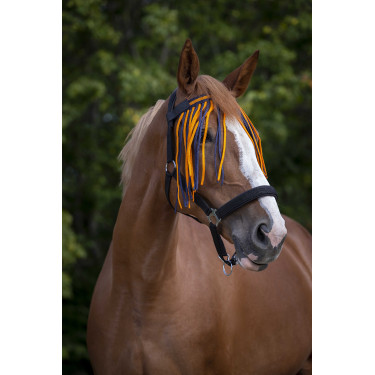 Frontal chasse-mouches Norton Marine / orange Bleu