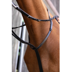 Enrênement Norton Pro Thiedeman Noir