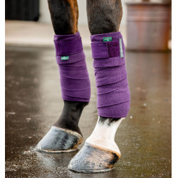 Bandes de polo Horseware Amigo Winterberry Violet