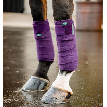 Bandes de polo Horseware Amigo Winterberry Violet