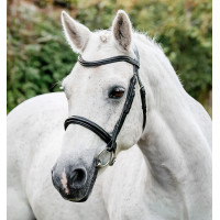 Bridon poney Horseware Cavesson