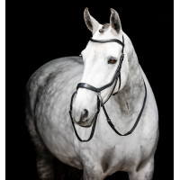 Paardenhoofdstel pony Horseware Flash Bruin