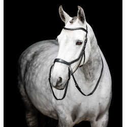 Paardenhoofdstel pony Horseware Flash Bruin