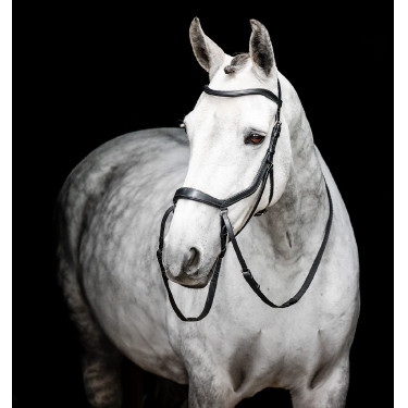 Paardenhoofdstel pony Horseware Flash Bruin