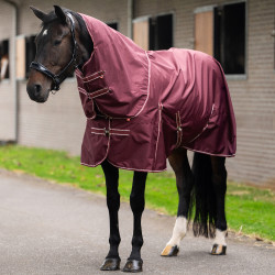 Imperial Riding Basic paddockdeken met afneembare fleece halsstuk Diep rood