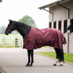 Couverture de paddock Imperial Riding Basic sans couvre-cou 200gr Rouge profond Couverture de paddock Imperial Riding Basic sans couvre-cou 200gr Rouge profond