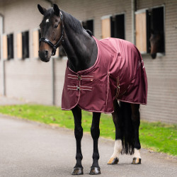 Imperial Riding Basic paddockdeken zonder halsstuk Summer Diep rood