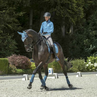 Tapis LeMieux dressage square - luxury Bleu benetton