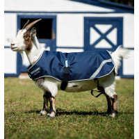 Couverture Horseware pour chèvre 100g Bleu dauphin / marine Couverture Horseware pour chèvre 100g Bleu dauphin / marine