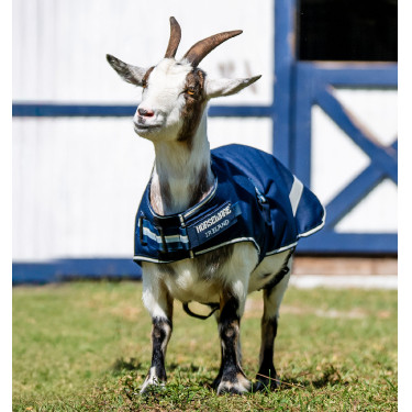 Couverture Horseware pour chèvre 100g Marine witney Bleu marine Couverture Horseware pour chèvre 100g Marine witney Bleu marine