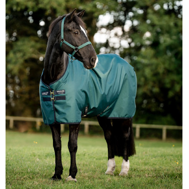 Horseware Amigo Ripstop 900D Poney Turnout 0g Deken Groen dynastie / marine / zilver Horseware Amigo Ripstop 900D Poney Turnout 0g Deken Groen dynastie / marine / zilver