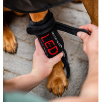 Horseware therapiebeschermers voor honden met rood LED-licht Zwart / zwart