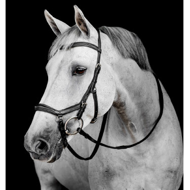 Bridon Horseware Micklem Deluxe Competition