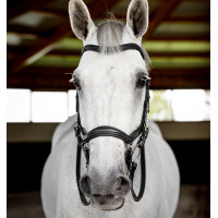 Hoofdstel Horseware Micklem Deluxe Competition