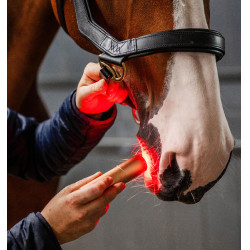 Stylet de thérapie Horseware par lumière rouge LED Noir / noir