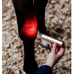 Horseware therapie-stylus met rood LED-licht