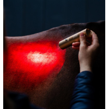 Stylet de thérapie Horseware par lumière rouge LED Noir / noir