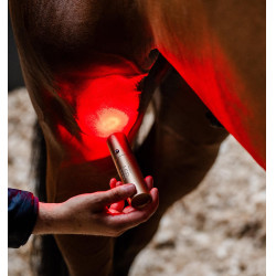 Horseware therapie-stylus met rood LED-licht