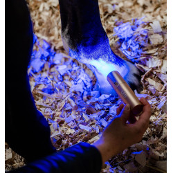 Horseware therapie-stylus met rood LED-licht