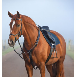 Horseware Micklem borsttuig met martingaal Horseware Micklem borsttuig met martingaal