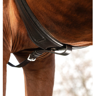 Horseware Micklem borsttuig met martingaal Horseware Micklem borsttuig met martingaal