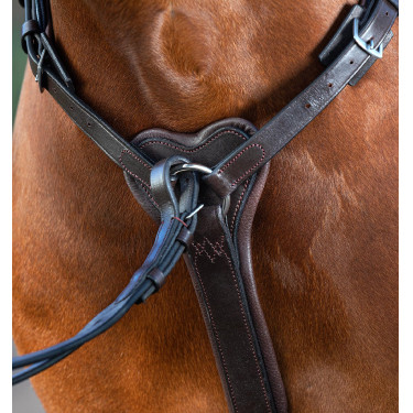 Collier de chasse Horseware Micklem avec martingale Marron