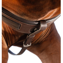 Collier de chasse Horseware Micklem avec martingale Marron
