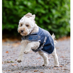 Couverture thérapeutique pour chien Horseware Ionic 50g Bleu impérial / argent & marine Couverture thérapeutique pour chien Horseware Ionic 50g Bleu impérial / argent & marine