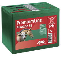 Pile alcaline 9 V pour clôture