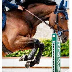 Horseware® Classic peesbeschermers Zwart / zwart