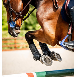 Horseware® Classic peesbeschermers Zwart / zwart