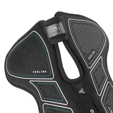 Amortisseur Acavallo Sublime impact 0 demi panneau garrot libre réhausseur arrière Amortisseur Acavallo Sublime impact 0 demi panneau garrot libre réhausseur arrière