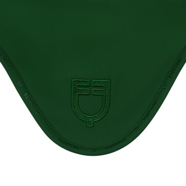 Equestro Silica oornetje met logo Groene weiden