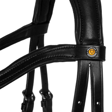 Bridon Comfitec Equestro anatomique en cuir Noir