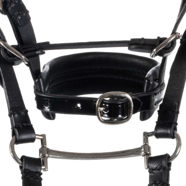 Leren hoofdstel Equestro voor speelgoedpaard met zilverkleurige studs Zwart