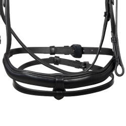 Equestro hoofdstel met anatomische neusriem Zwart