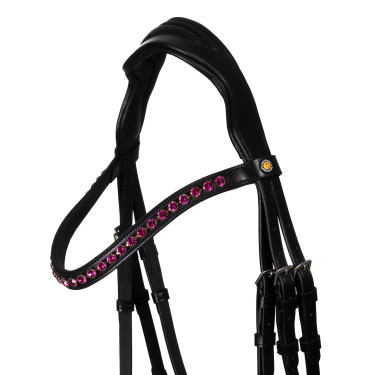 Bridon Equestro anatomique avec pierres Fuchsia Noir