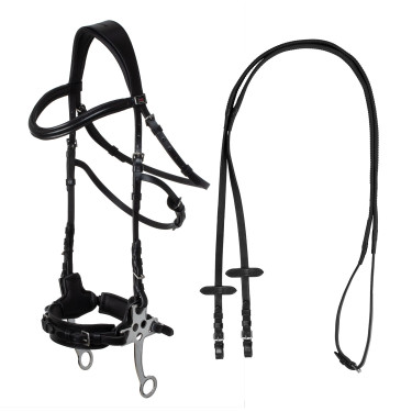 Hackamore-hoofdstel Supreme Zwart