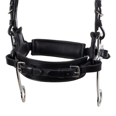 Hackamore-hoofdstel Supreme Zwart