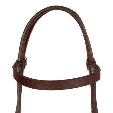 Westernhoofdstel Pool's Quick Change met recht voorhoofdstuk Geolied