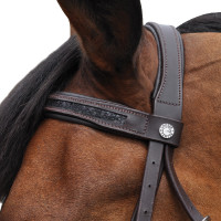 Bridon Canter Black strass Noir Bridon Canter Black strass Noir