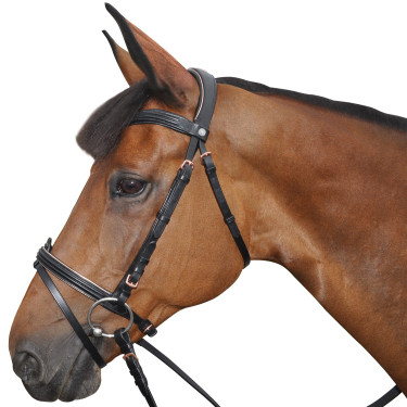 Bridon Canter ROSE GOLD Bridon Canter ROSE GOLD