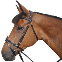 Bridon Canter ROSE GOUD Bruin