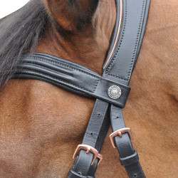 Bridon Canter ROSE GOUD Bruin