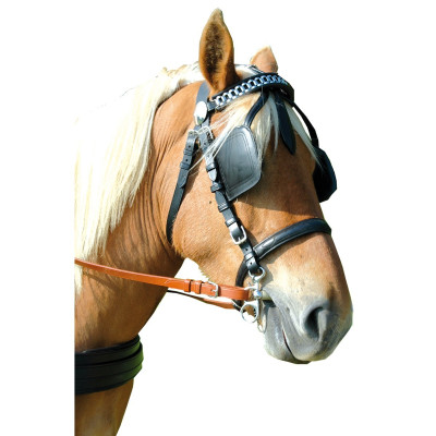 Bride harnais EURO Canter Noir